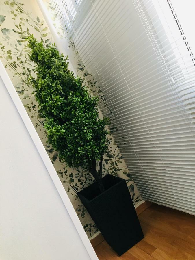 Apartamento Good Vibes Διαμέρισμα Σαραγόσα Εξωτερικό φωτογραφία